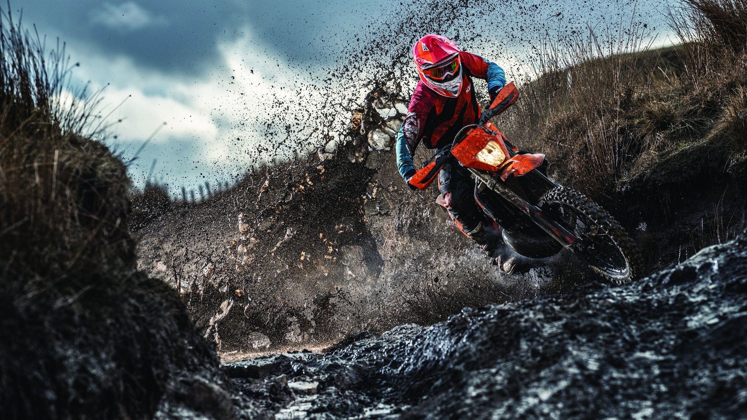 _激情四射：激烈的五盘大战令人热血沸腾_，激情四射指的是什么生肖