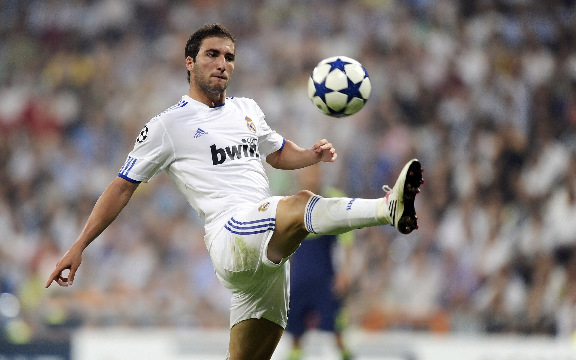 _退役运动员转型：从球场到教练、解说席_，健美运动员席鑫